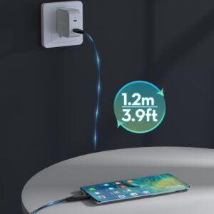 RAVPOWER CHARGE & SYNC 60W USB C to USB C Cable RP-CB1037