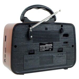 Speaker Bluetooth YS-3199BT